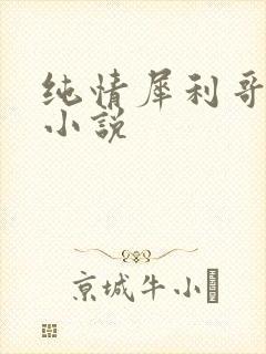 纯情犀利哥最新小说
