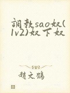 调教sao奴(1v2)奴下奴