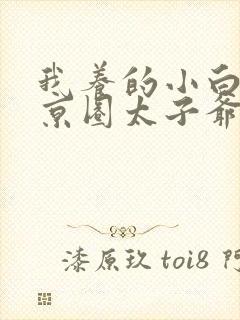 我养的小白脸是京圈太子爷免费