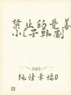 禁止的爱善良的小[子韩剧