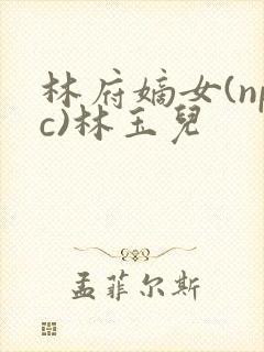 林府嫡女(npc)林玉儿