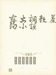 露出调教羞辱母狗小说封面
