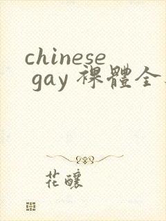 chinese gay 裸体全见