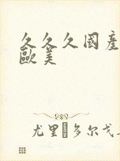久久久国产精品欧美封面
