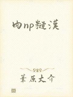 肉np糙汉