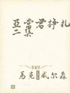 亚当君挣扎吧第二集