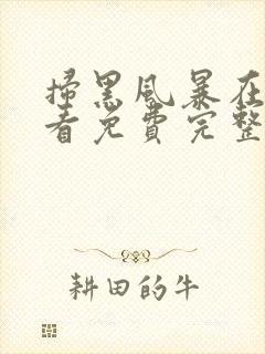 扫黑风暴在线观看免费完整版最新封面