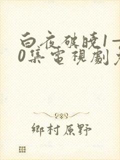 白夜破晓1—40集电视剧免费观看