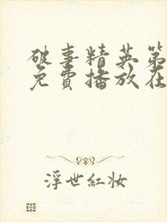 破事精英第2季免费播放在线封面
