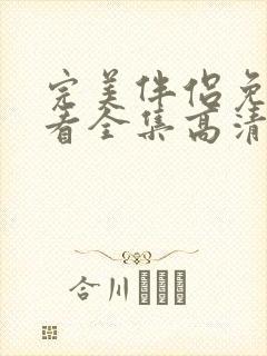完美伴侣免费观看全集高清版电视剧封面