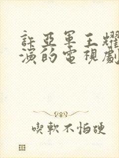 许亚军王耀庆主演的电视剧