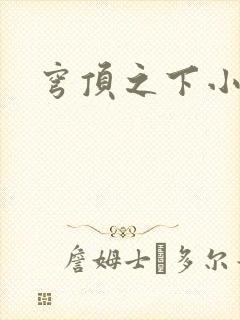 穹顶之下小说