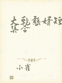 大乾憨婿短剧全集合