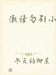 激情勾引小说