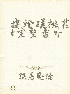 提灯映桃花txt完整番外