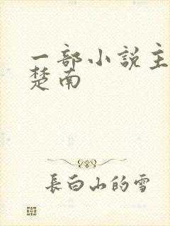 一部小说主角叫楚南