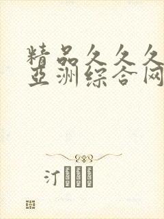 精品久久久久久亚洲综合网站