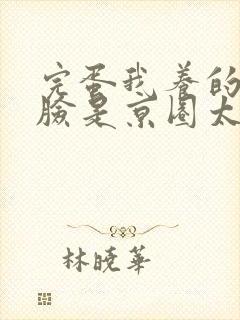 完蛋我养的小白脸是京圈太子爷观看