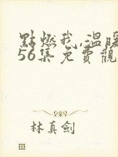点燃我,温暖你56集免费观看