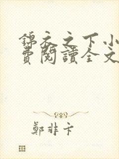 锦衣之下小说免费阅读全文无删减