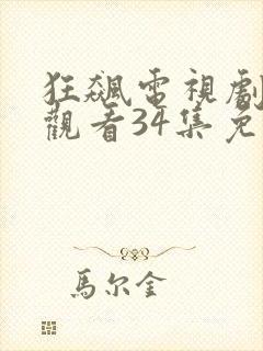 狂飙电视剧在线观看34集免费
