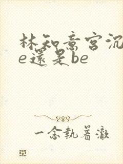 林知意宫沉是he还是be