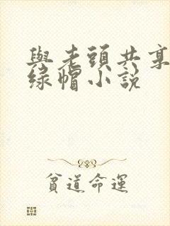 与老头共享娇妻绿帽小说封面