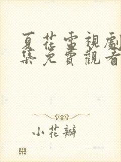 夏花电视剧24集免费观看