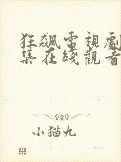 狂飙电视剧40集在线观看免费追剧网封面