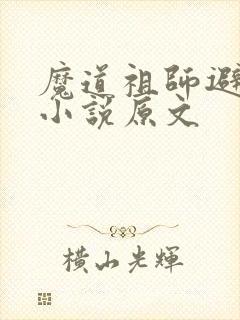 魔道祖师避尘篇小说原文封面
