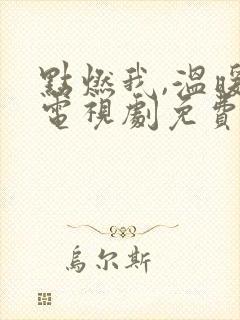 点燃我,温暖你电视剧免费