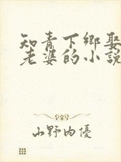 知青下乡娶五个老婆的小说