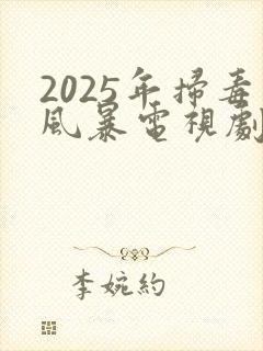 2025年扫毒风暴电视剧在线观看