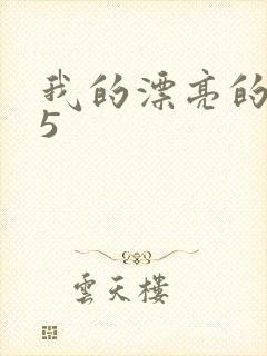 我的漂亮的嫂子5