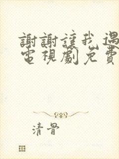 谢谢让我遇见你电视剧免费观看封面