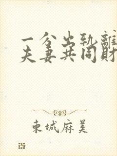 一分出轨离婚有夫妻共同财产分割吗