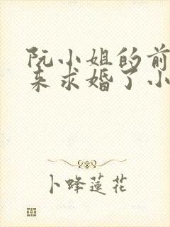 阮小姐的前夫又来求婚了小说全文免费阅读