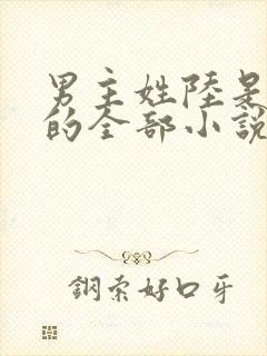 男主姓陆是总裁的全部小说