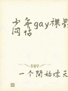 少年gay裸体网站封面