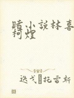 赌小说林喜朝和柯煜