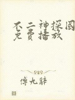 不二神探国语版免费播放封面