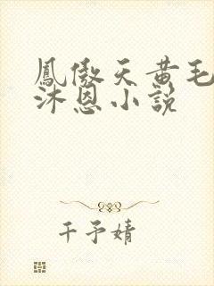 凤傲天黄毛反派沐恩小说
