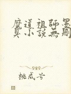 魔道祖师墨香铜臭小说无删减版