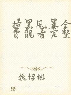 扫黑风暴全集免费观看完整版