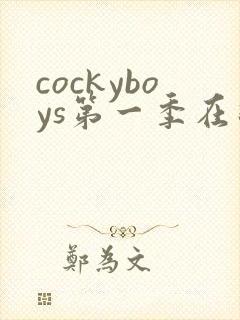 cockyboys第一季在线观看免费版