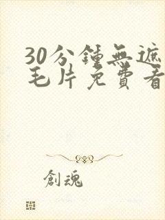 30分钟无遮挡毛片免费看