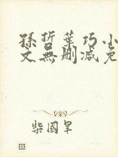 孙哲叶巧小说全文无删减免费阅读