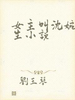 女主叫沈婉的重生小说
