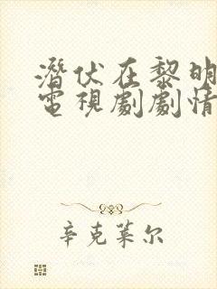 潜伏在黎明之前电视剧剧情