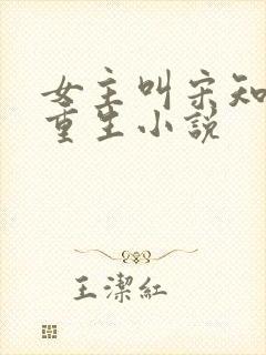 女主叫宋知意的重生小说